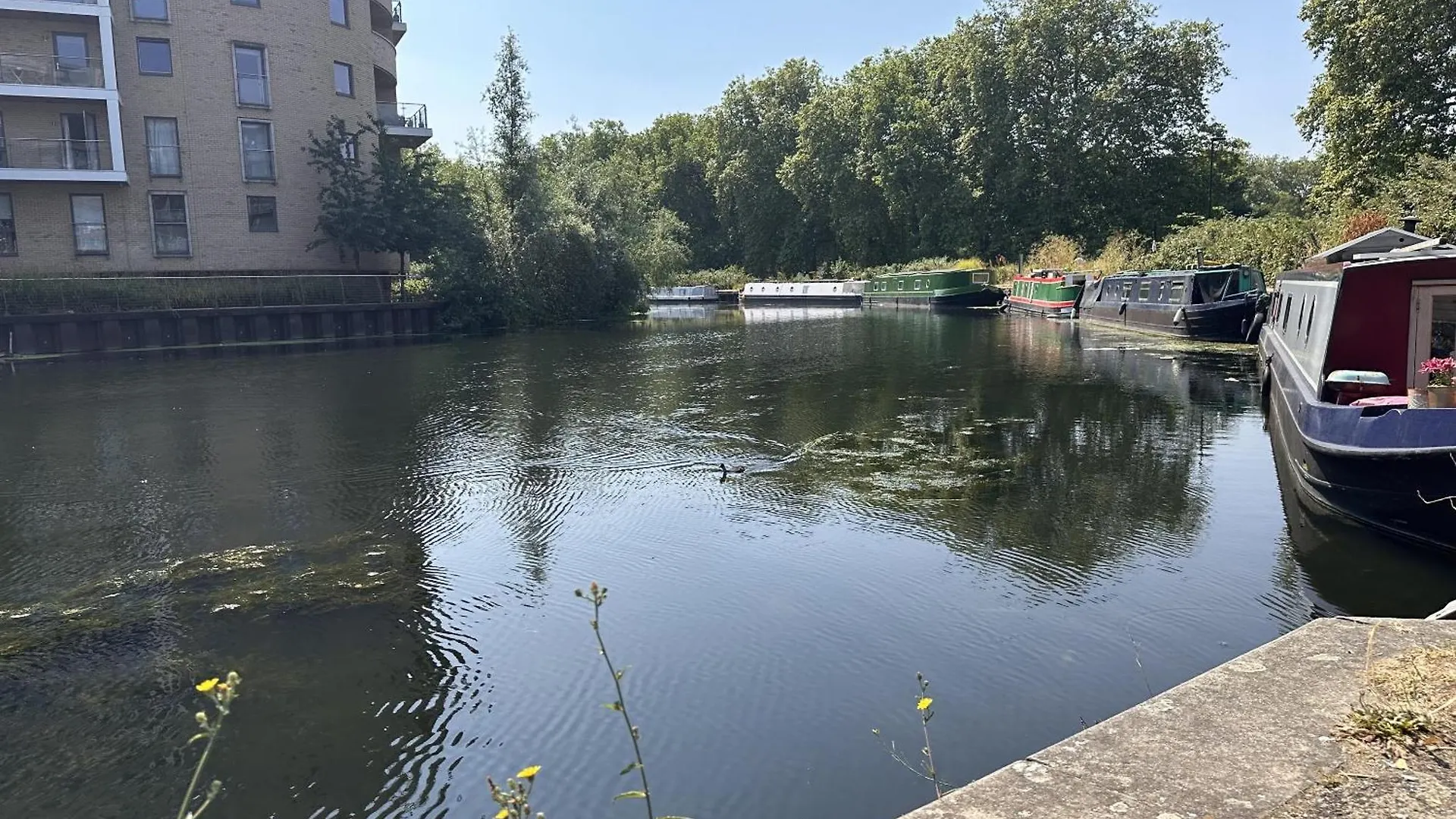 Fenland Hackney Apartments Londra Birleşik Krallık